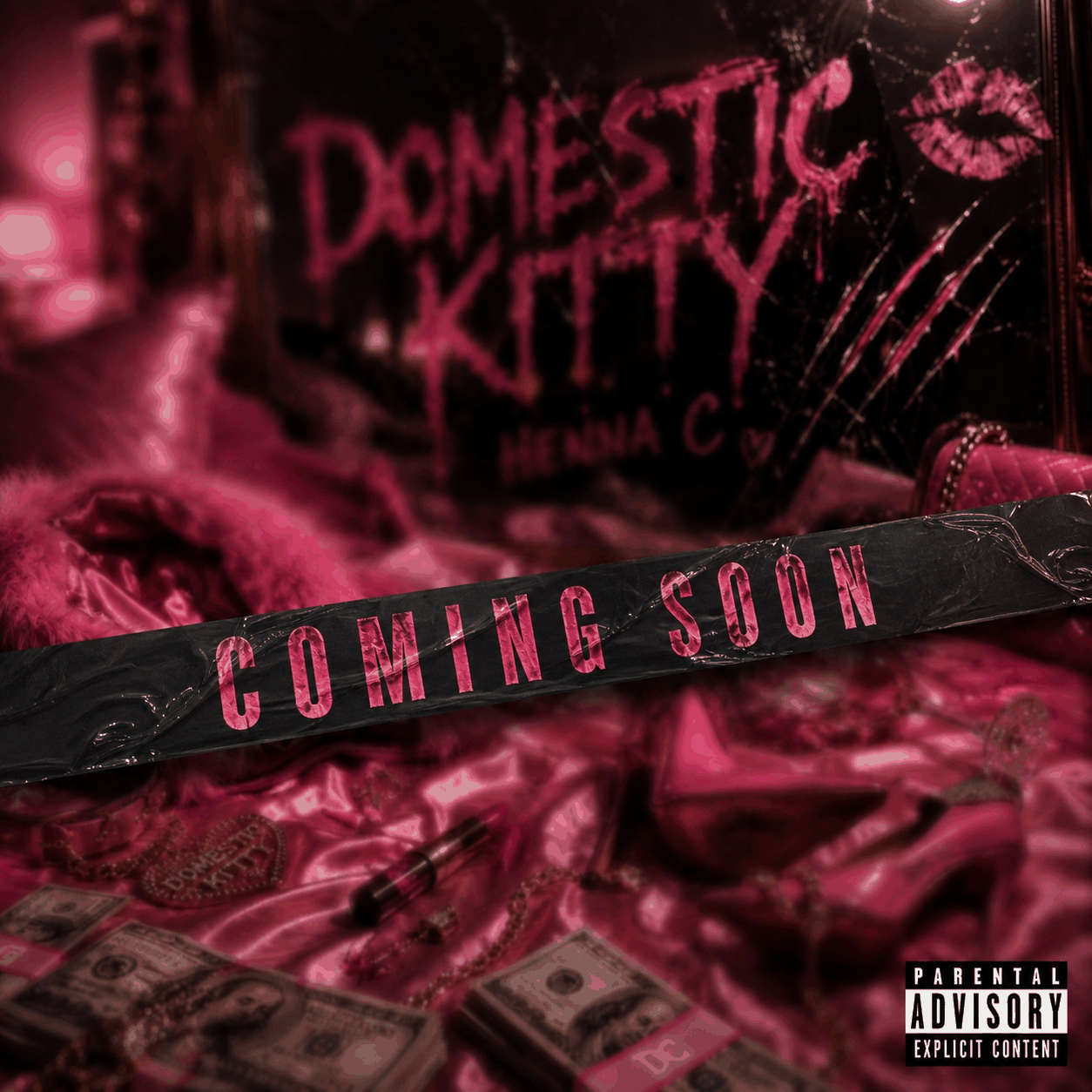 Domestic Kitty artwork
